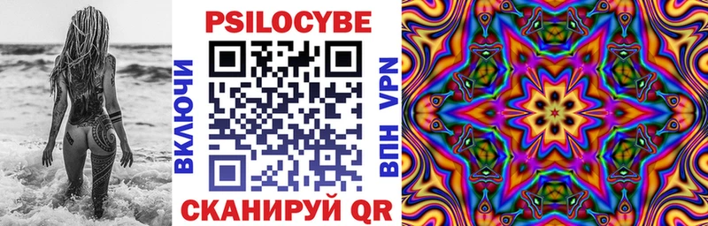 Галлюциногенные грибы Psilocybe  где продают наркотики  Харовск 